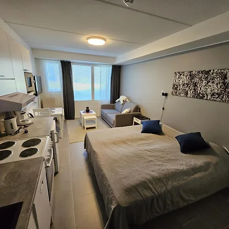Levillenet Skistar Superior Apartment Levi