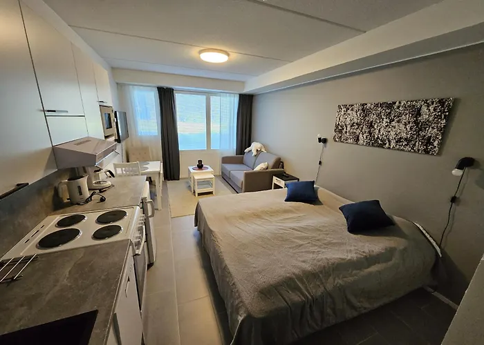 Levillenet Skistar Superior Apartment Levi